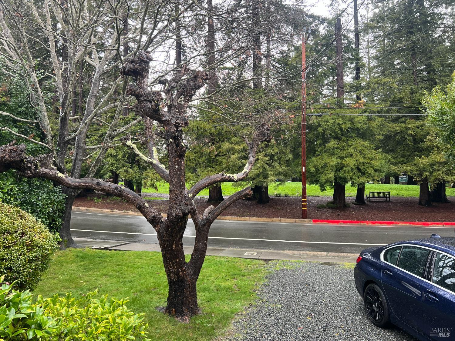 Detail Gallery Image 30 of 32 For 127 Bolinas Ave, Ross,  CA 94957 - 2 Beds | 1 Baths