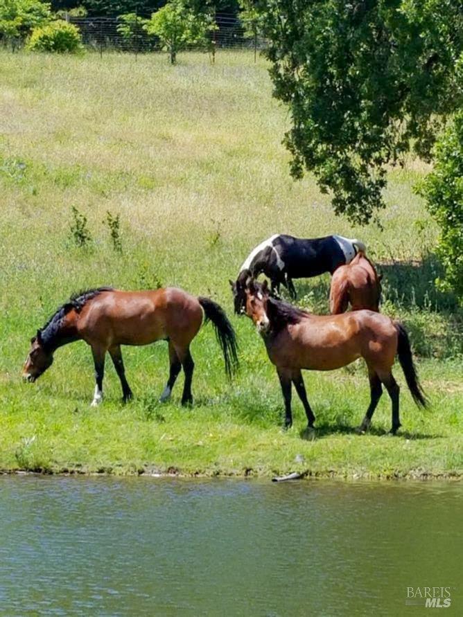 Detail Gallery Image 79 of 91 For 5510 Parducci Rd, Ukiah,  CA 95482 - 3 Beds | 3 Baths
