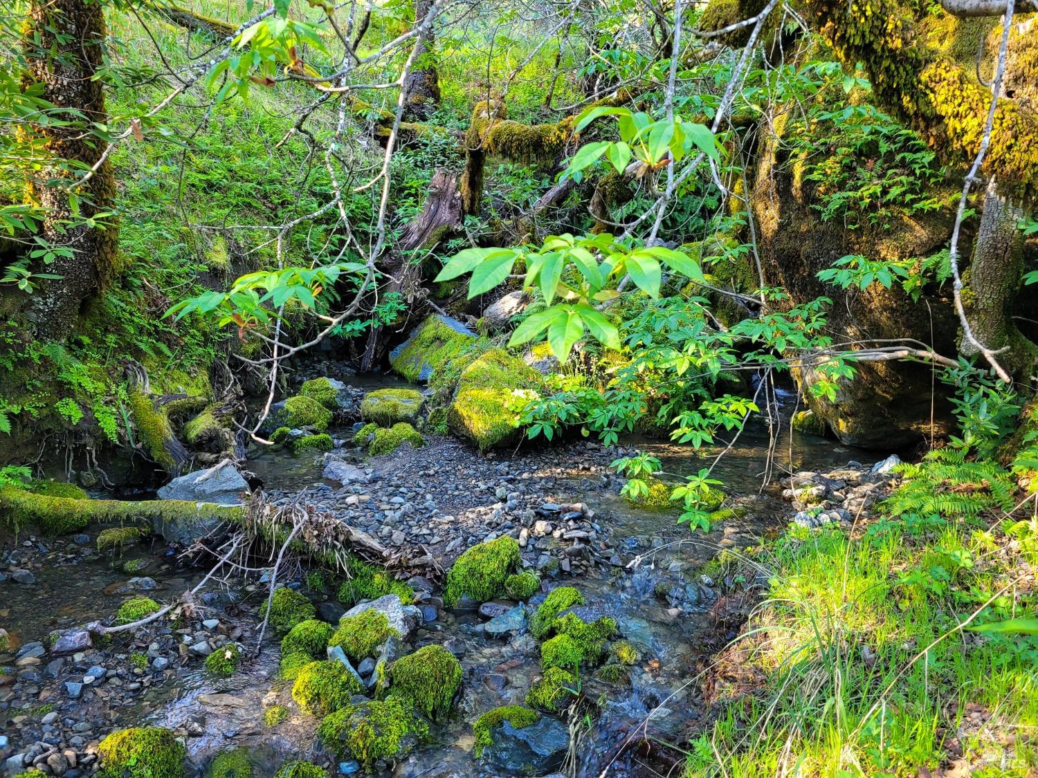 Detail Gallery Image 89 of 91 For 5510 Parducci Rd, Ukiah,  CA 95482 - 3 Beds | 3 Baths