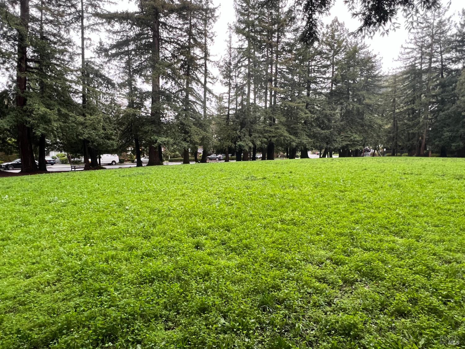 Detail Gallery Image 31 of 32 For 127 Bolinas Ave, Ross,  CA 94957 - 2 Beds | 1 Baths