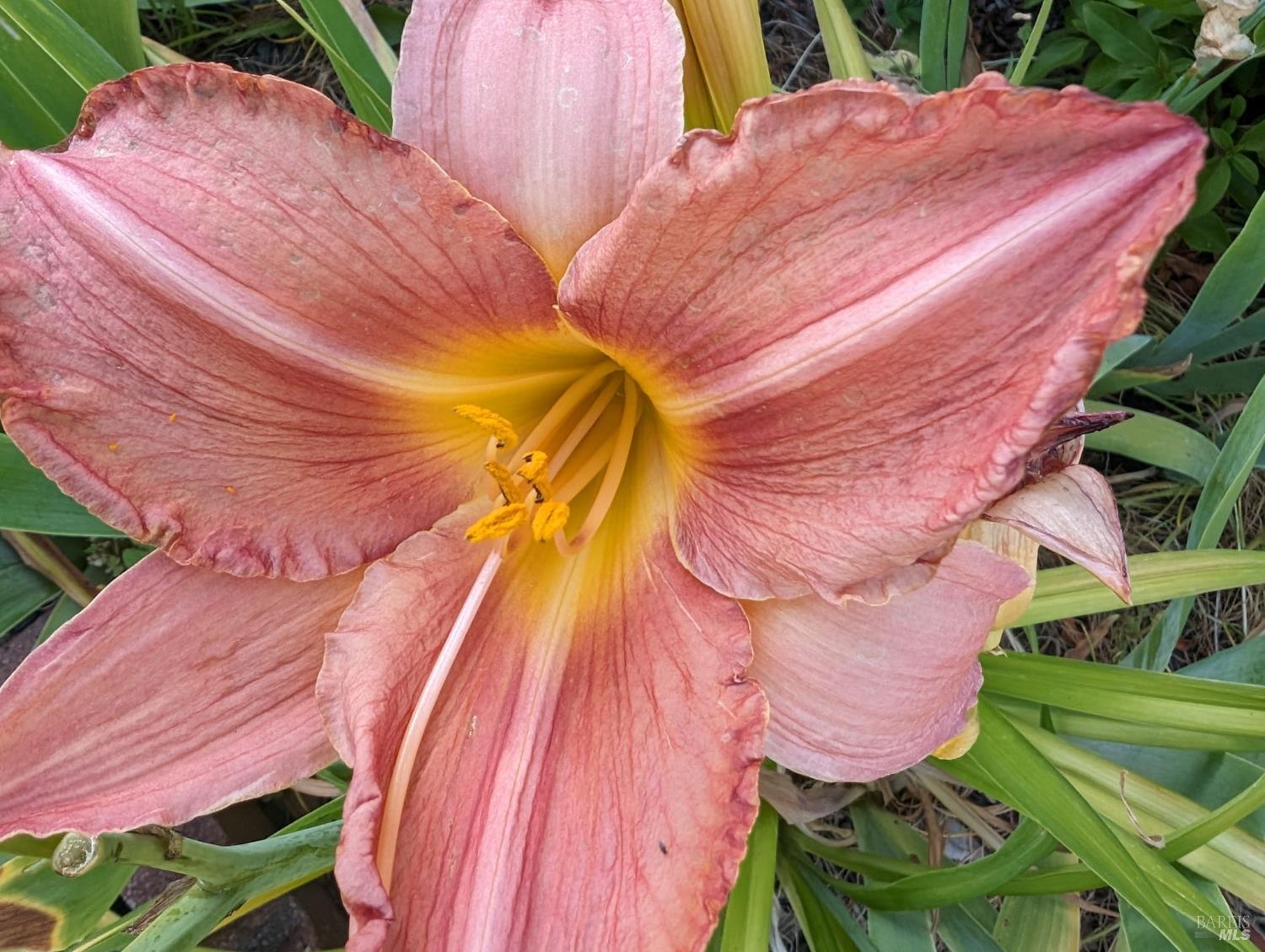 Detail Gallery Image 25 of 29 For Address Is Not Disclosed, Rohnert Park,  CA 94928 - 2 Beds | 1 Baths