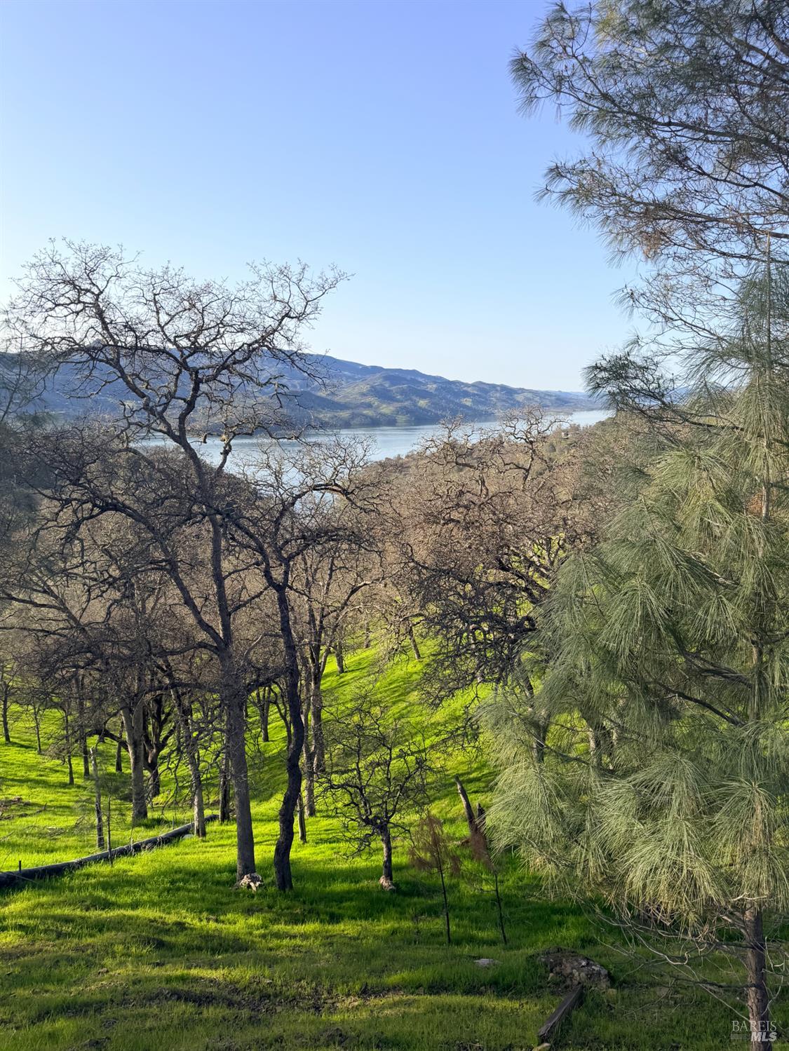 Detail Gallery Image 10 of 22 For 1123 Steele Canyon Rd, Napa,  CA 94558 - – Beds | – Baths