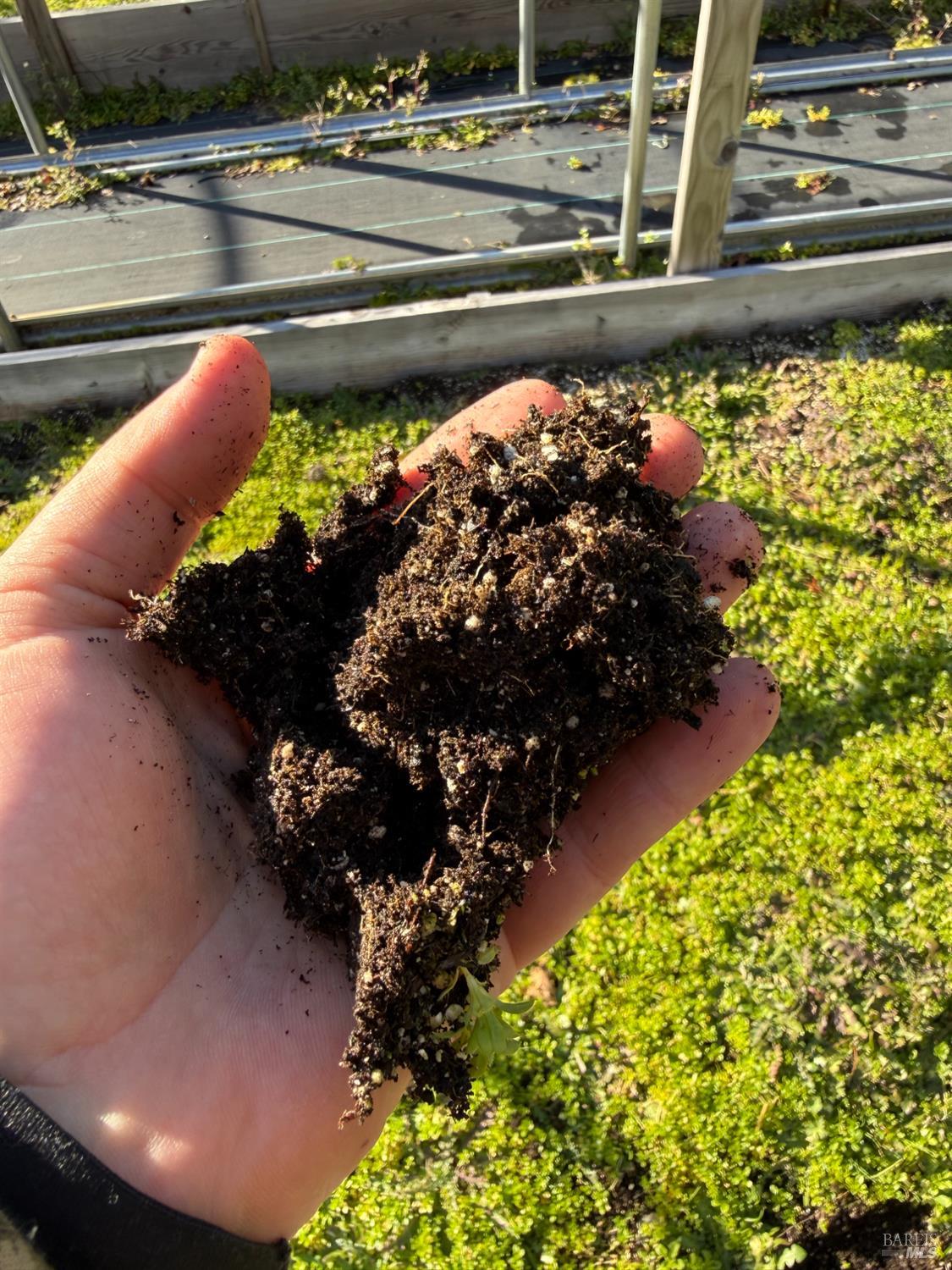 Detail Gallery Image 18 of 35 For 17001 Walker Lake Rd, Willits,  CA 95490 - 3 Beds | 2 Baths