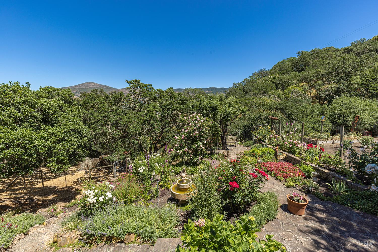 Detail Gallery Image 49 of 64 For 2231 1st Ave, Napa,  CA 94558 - 4 Beds | 3/1 Baths