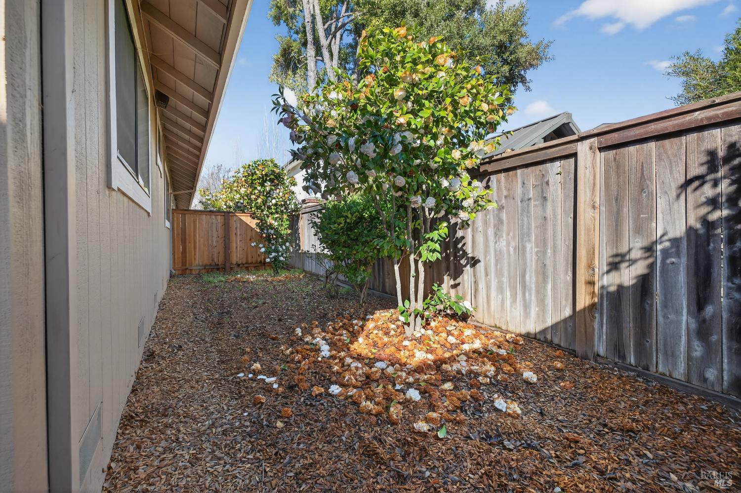 Detail Gallery Image 22 of 24 For 663 Spring Ln, Sonoma,  CA 95476 - 2 Beds | 1 Baths