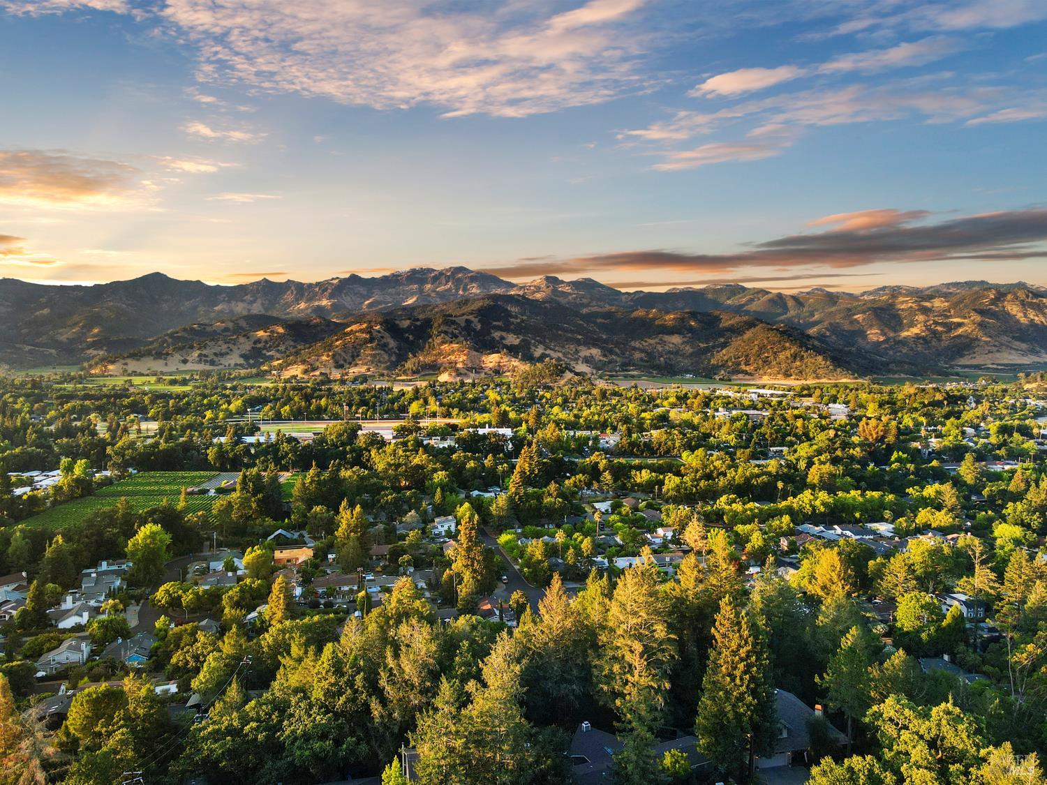Detail Gallery Image 50 of 53 For 304 High St, Calistoga,  CA 94515 - 3 Beds | 2 Baths