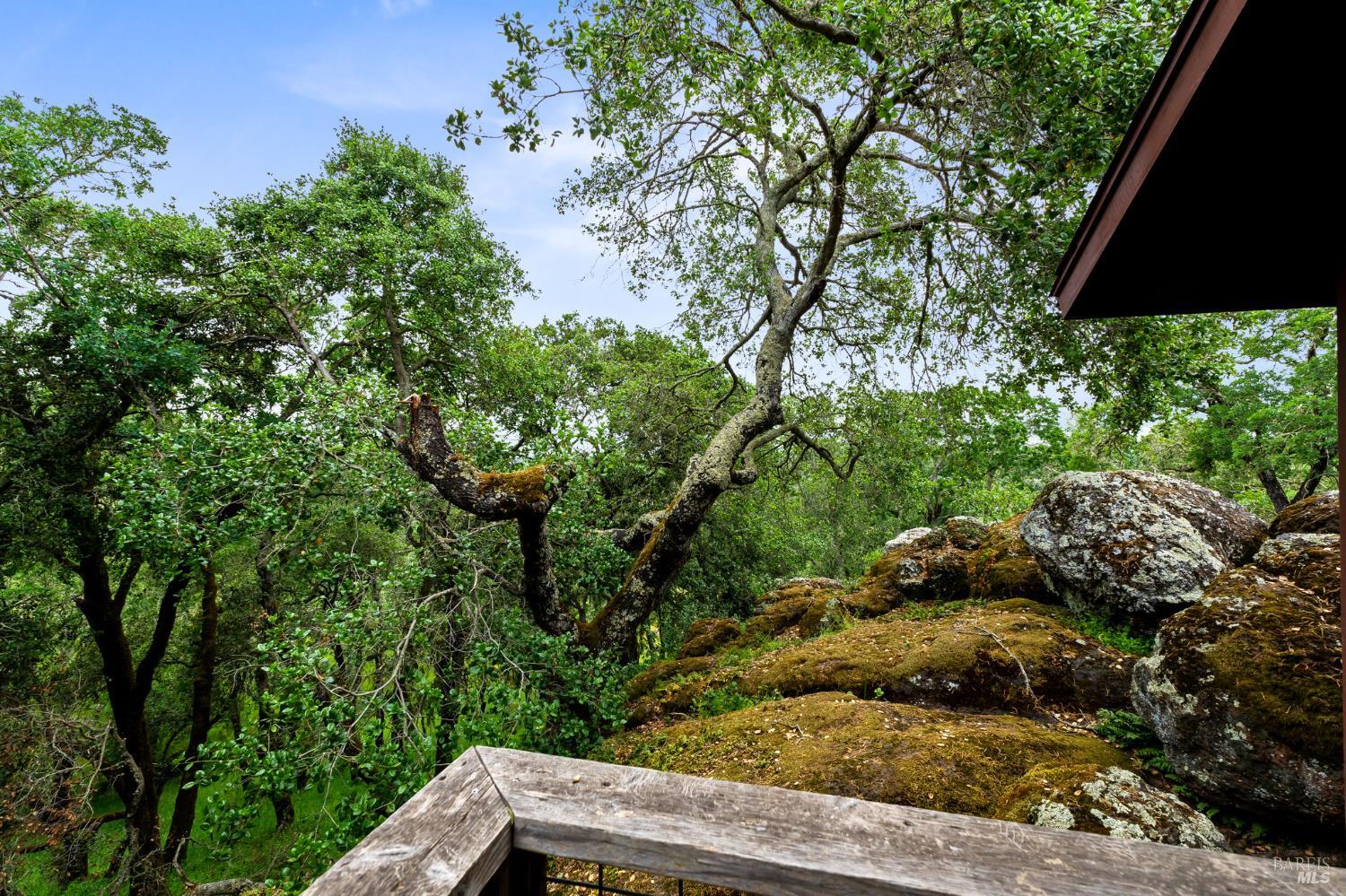 Detail Gallery Image 46 of 64 For 2231 1st Ave, Napa,  CA 94558 - 4 Beds | 3/1 Baths