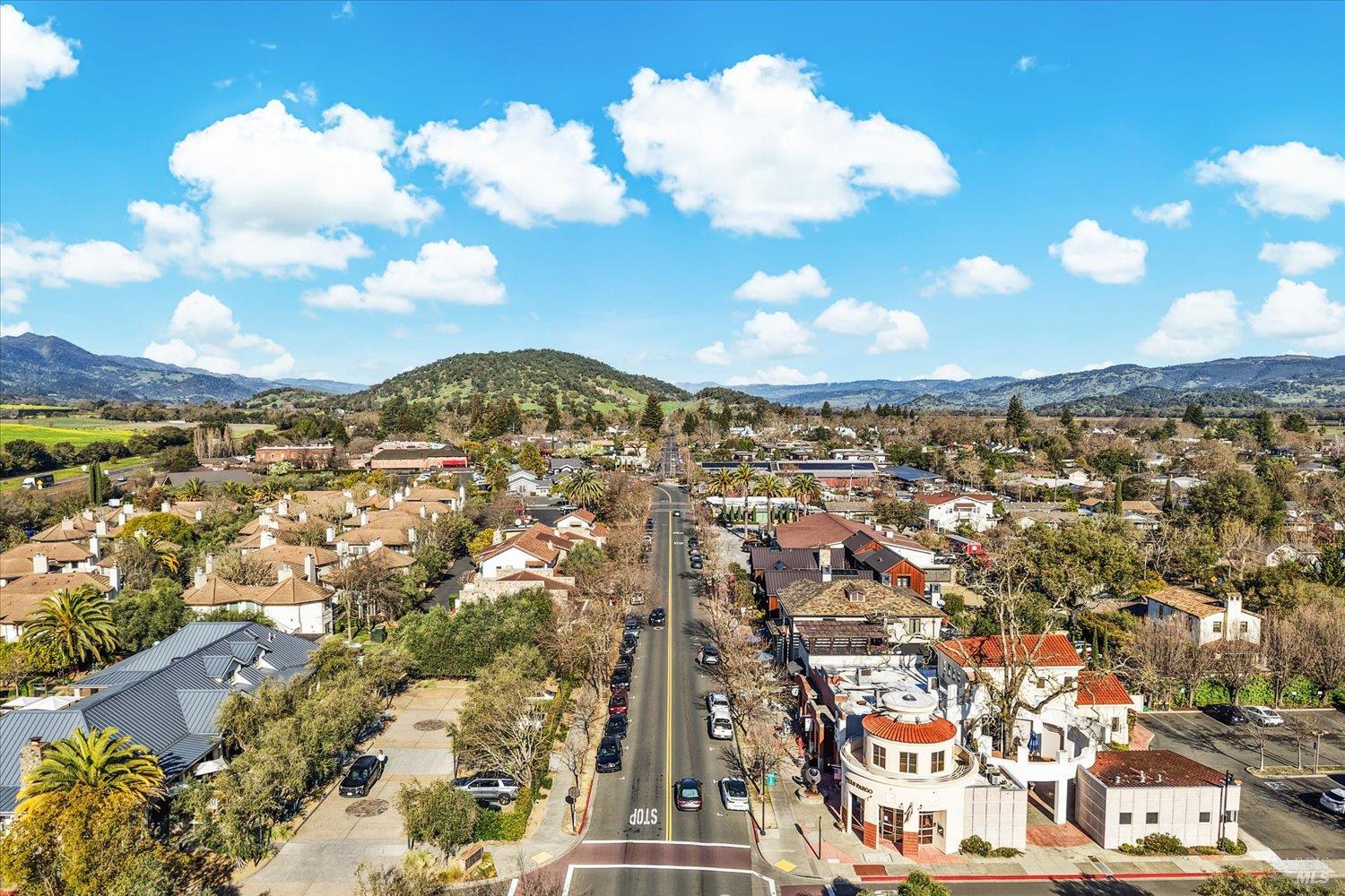 Detail Gallery Image 9 of 44 For 2004 Oak Cir, Yountville,  CA 94599 - 3 Beds | 2 Baths