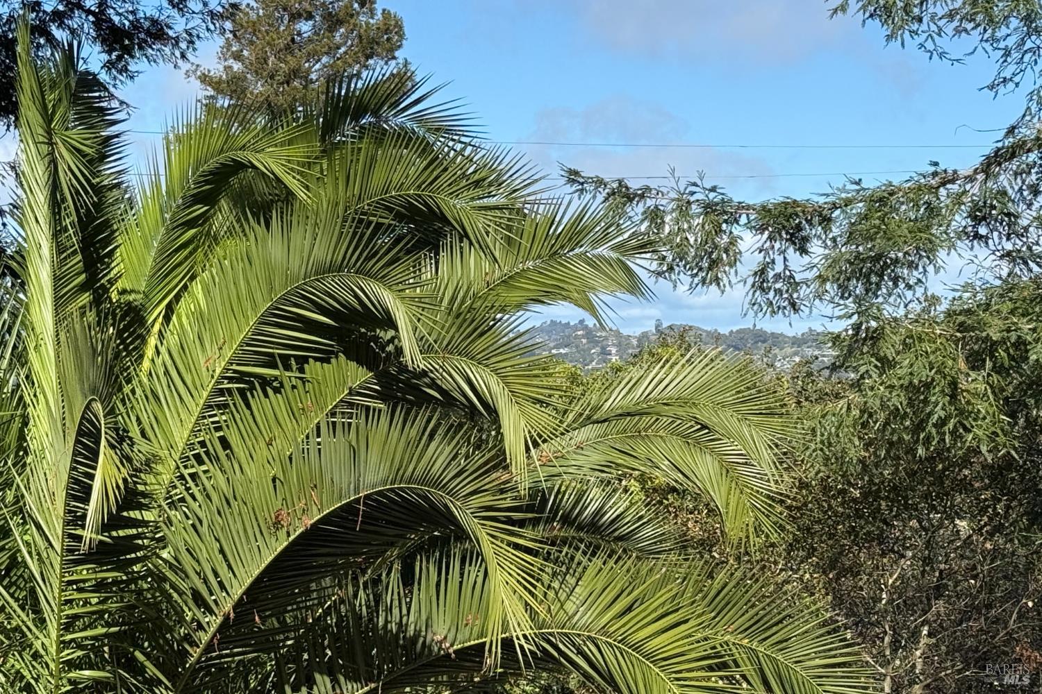 Detail Gallery Image 35 of 36 For 602 Chapman Dr, Corte Madera,  CA 94925 - 4 Beds | 3 Baths