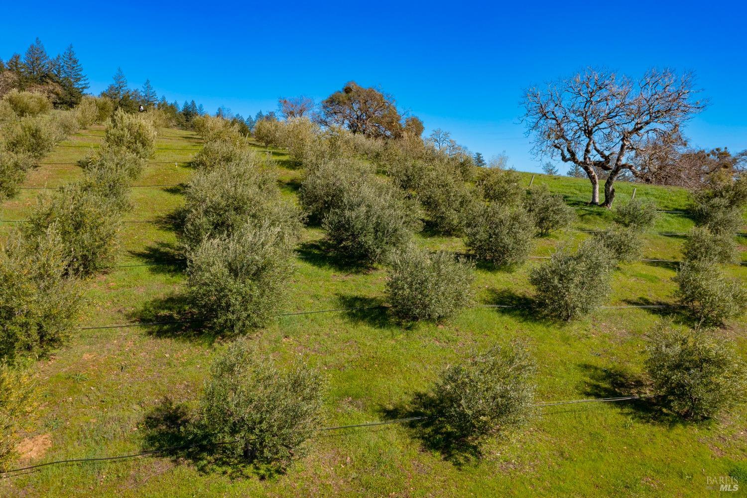 Detail Gallery Image 55 of 65 For 24000 Fig Tree Ln, Yorkville,  CA 95494 - 3 Beds | 2/1 Baths