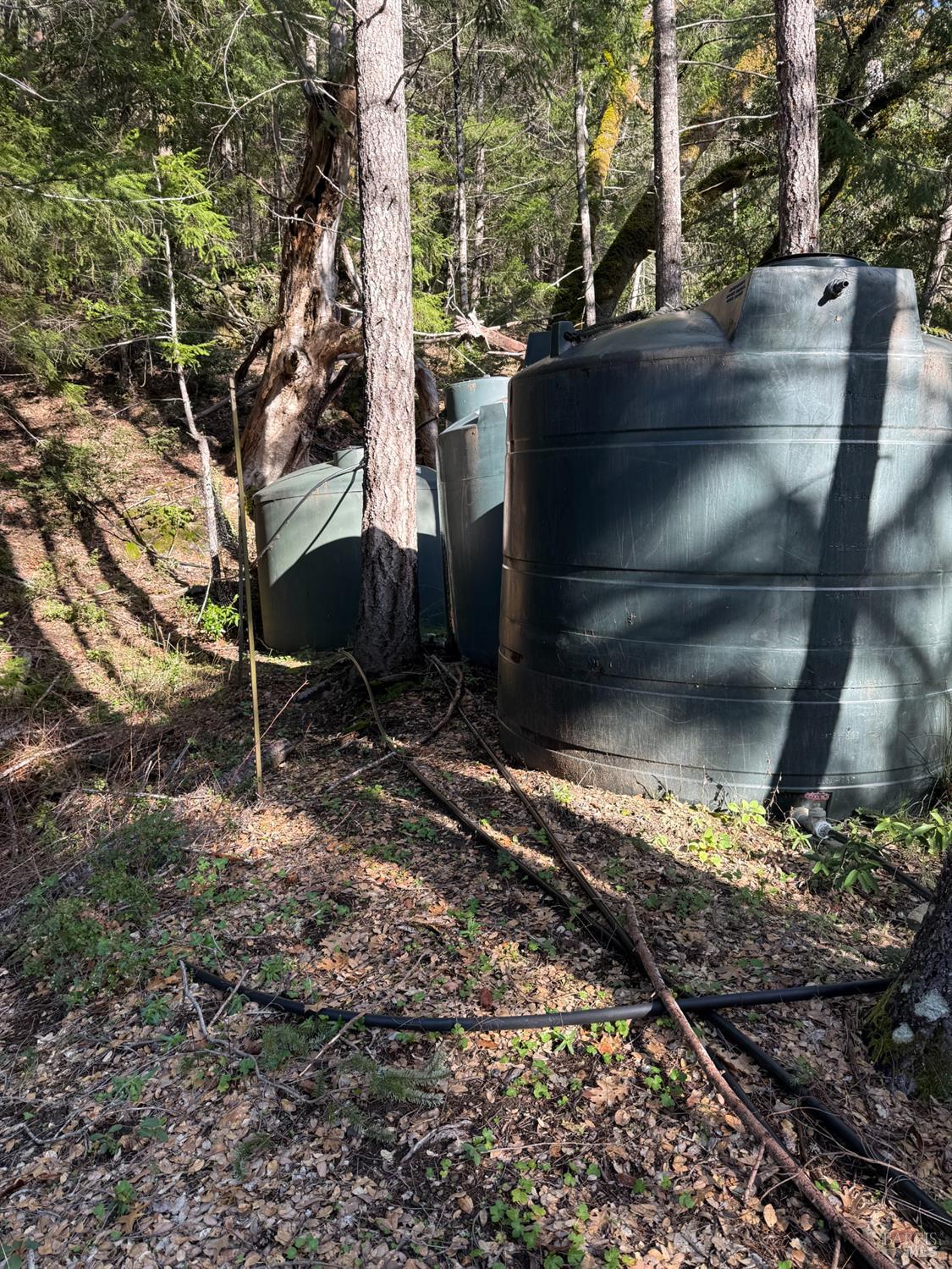 Detail Gallery Image 28 of 35 For 17001 Walker Lake Rd, Willits,  CA 95490 - 3 Beds | 2 Baths