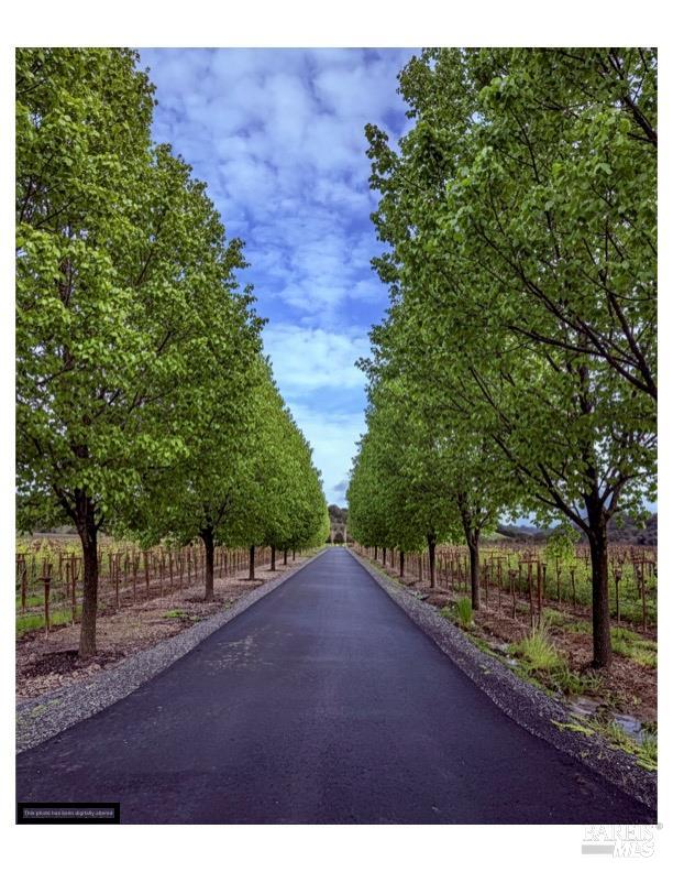 Detail Gallery Image 8 of 42 For 1276 Jensen Ln, Windsor,  CA 95492 - – Beds | – Baths