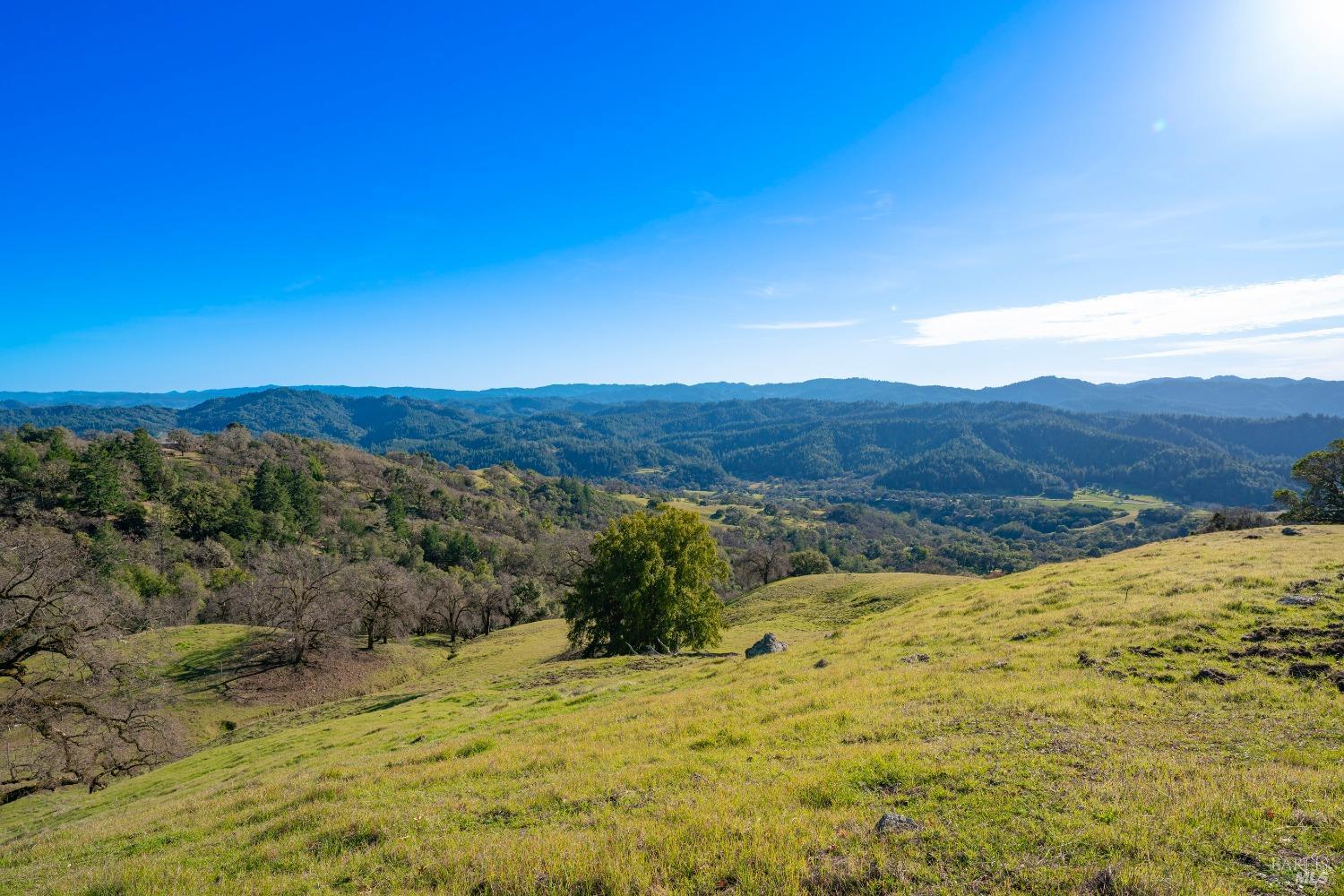 Detail Gallery Image 64 of 65 For 24000 Fig Tree Ln, Yorkville,  CA 95494 - 3 Beds | 2/1 Baths