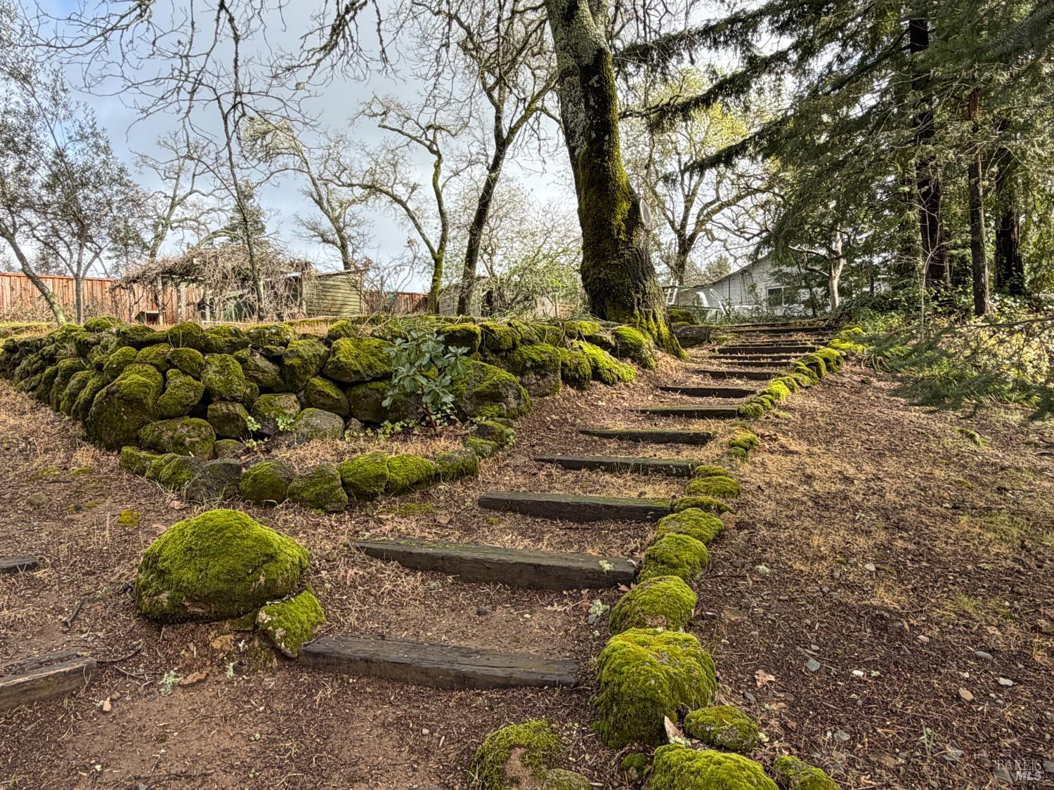 Detail Gallery Image 4 of 19 For 450 Sky Oaks Dr, Angwin,  CA 94508 - 3 Beds | 1/1 Baths