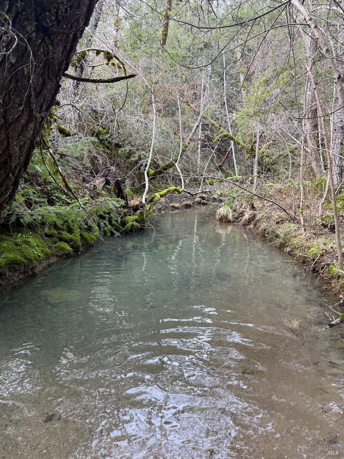 Detail Gallery Image 12 of 35 For 17001 Walker Lake Rd, Willits,  CA 95490 - 3 Beds | 2 Baths