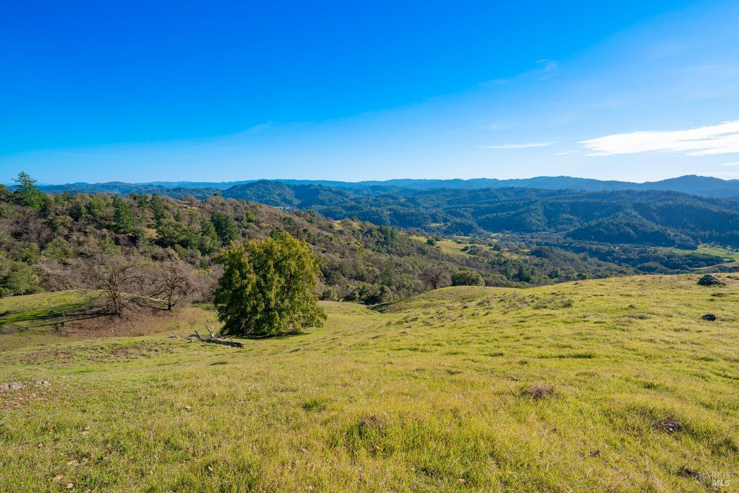 Detail Gallery Image 65 of 65 For 24000 Fig Tree Ln, Yorkville,  CA 95494 - 3 Beds | 2/1 Baths