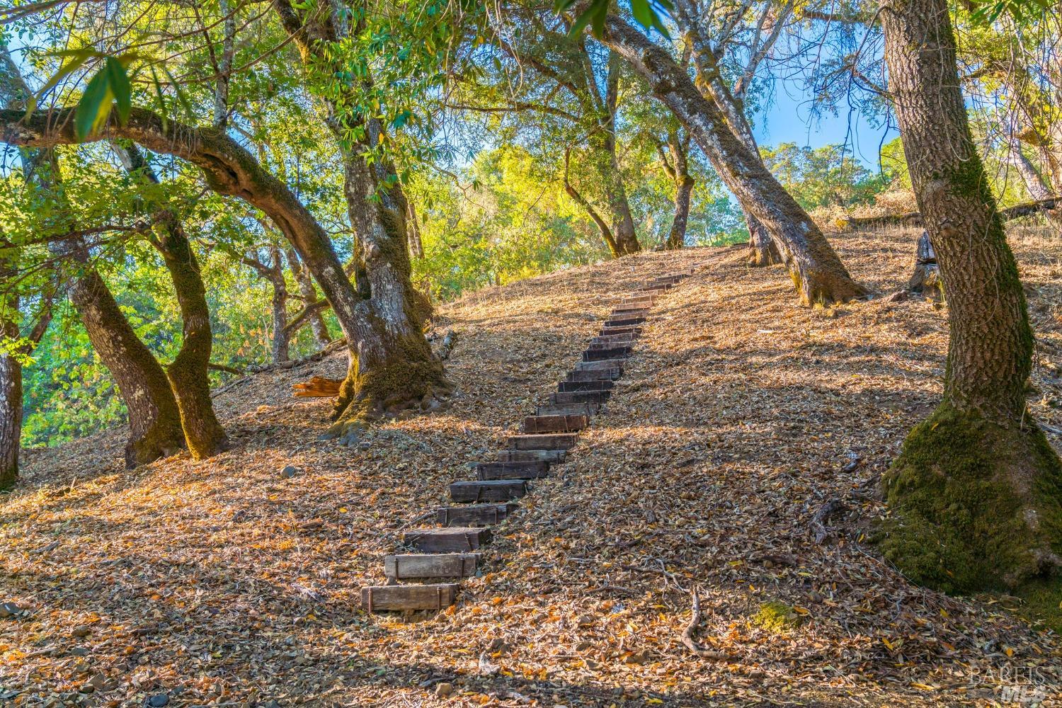 Detail Gallery Image 62 of 65 For 24000 Fig Tree Ln, Yorkville,  CA 95494 - 3 Beds | 2/1 Baths
