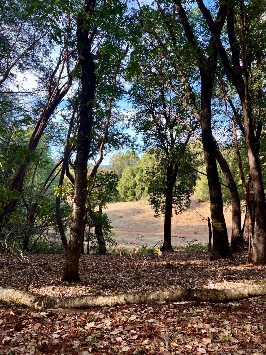 Detail Gallery Image 25 of 45 For 34201 Highway 128 Hwy, Cloverdale,  CA 95425 - 2 Beds | 2 Baths