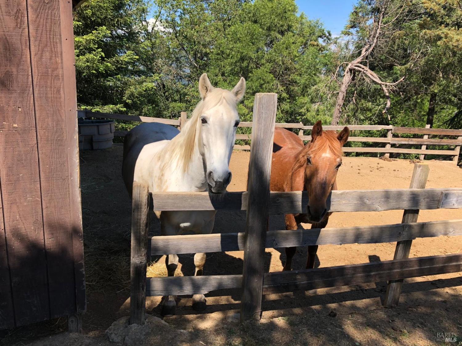 Detail Gallery Image 31 of 45 For 1411 Oak Knoll Rd, Ukiah,  CA 95482 - 3 Beds | 2 Baths