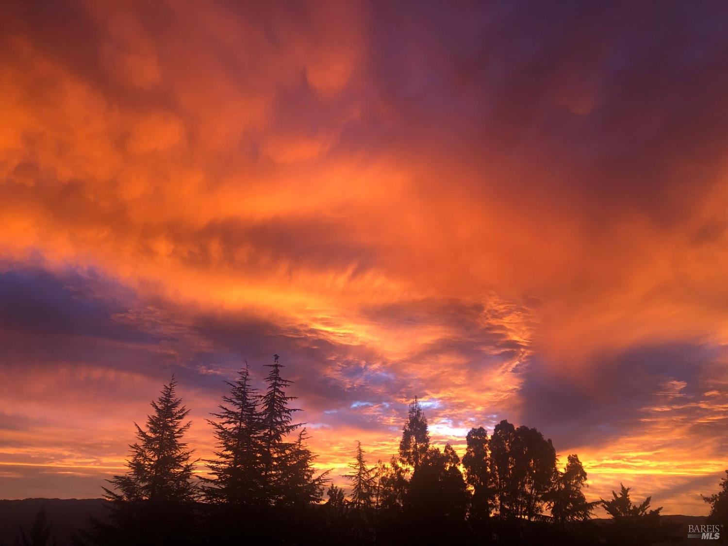 Detail Gallery Image 36 of 45 For 1411 Oak Knoll Rd, Ukiah,  CA 95482 - 3 Beds | 2 Baths