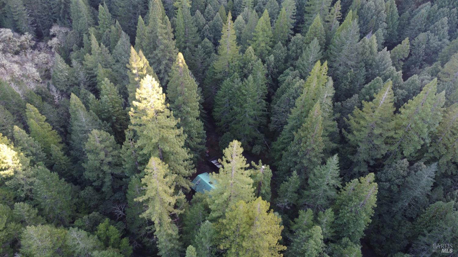 Detail Gallery Image 33 of 35 For 17001 Walker Lake Rd, Willits,  CA 95490 - 3 Beds | 2 Baths