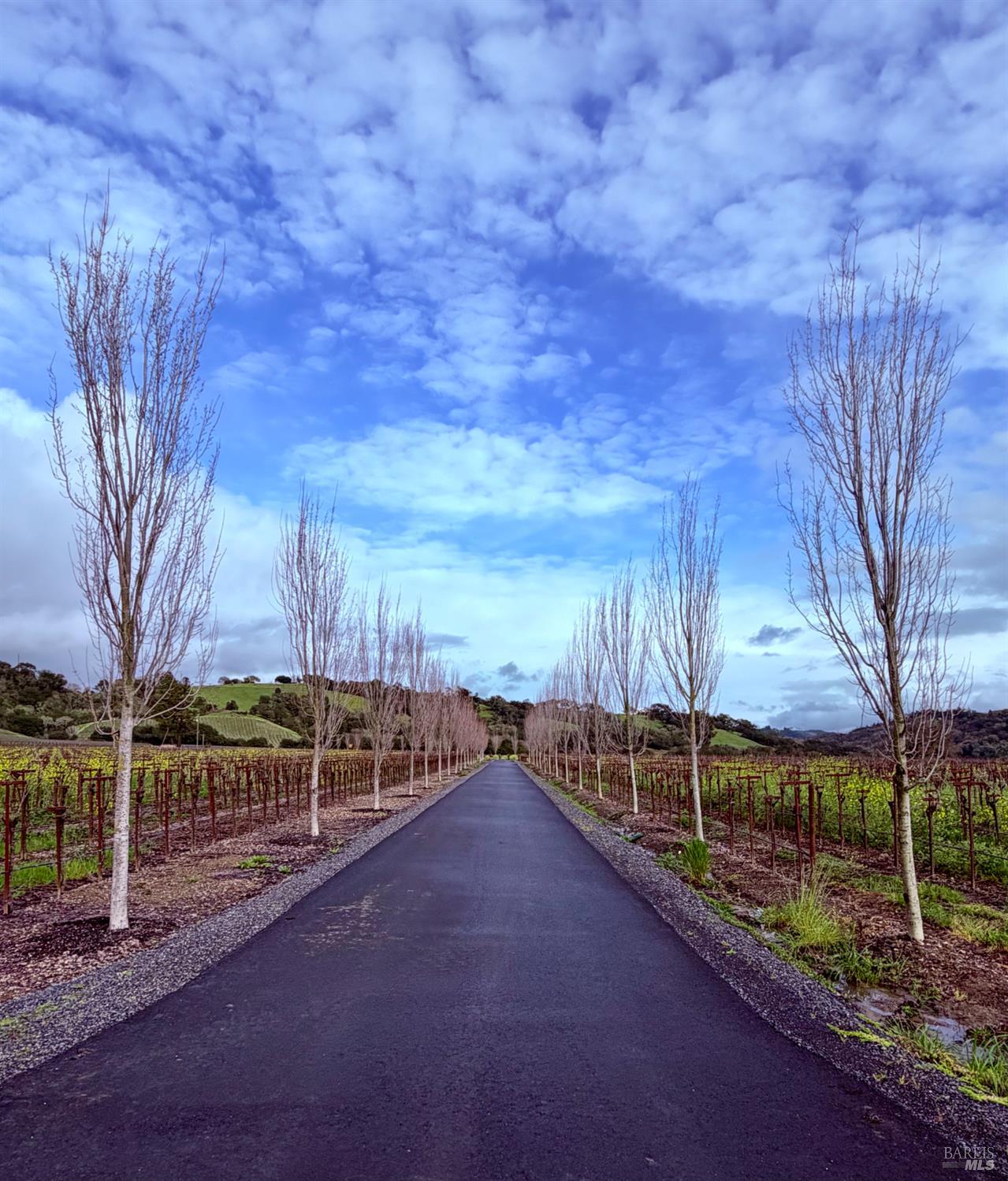 Detail Gallery Image 4 of 36 For 1276 Jensen Ln, Windsor,  CA 95492 - – Beds | – Baths