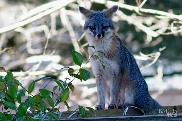 Detail Gallery Image 14 of 51 For 9636 Lakewood Dr, Windsor,  CA 95492 - 2 Beds | 2 Baths