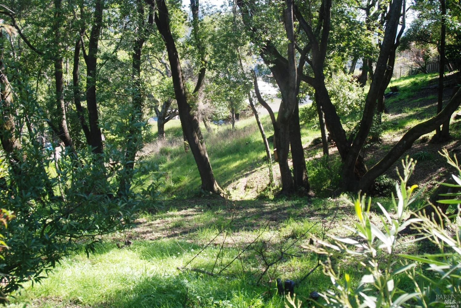 Detail Gallery Image 9 of 10 For 315 Coleman Dr, San Rafael,  CA 94901 - – Beds | – Baths