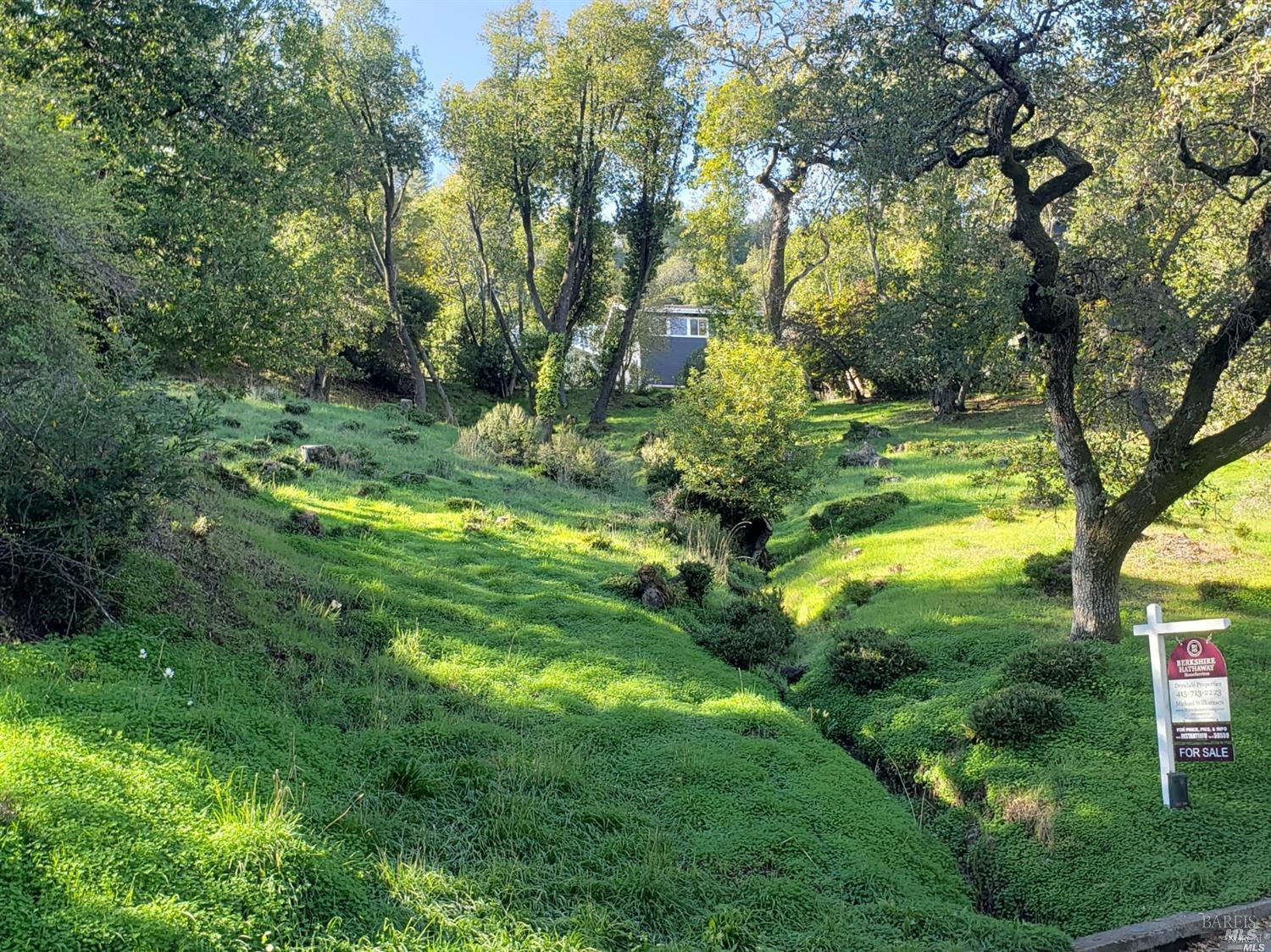 Detail Gallery Image 8 of 10 For 315 Coleman Dr, San Rafael,  CA 94901 - – Beds | – Baths