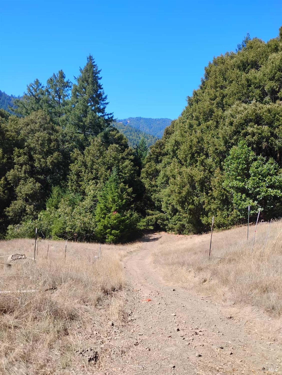 Detail Gallery Image 10 of 12 For 4100 Hansen Ranch Rd, Piercy,  CA 95587 - – Beds | – Baths