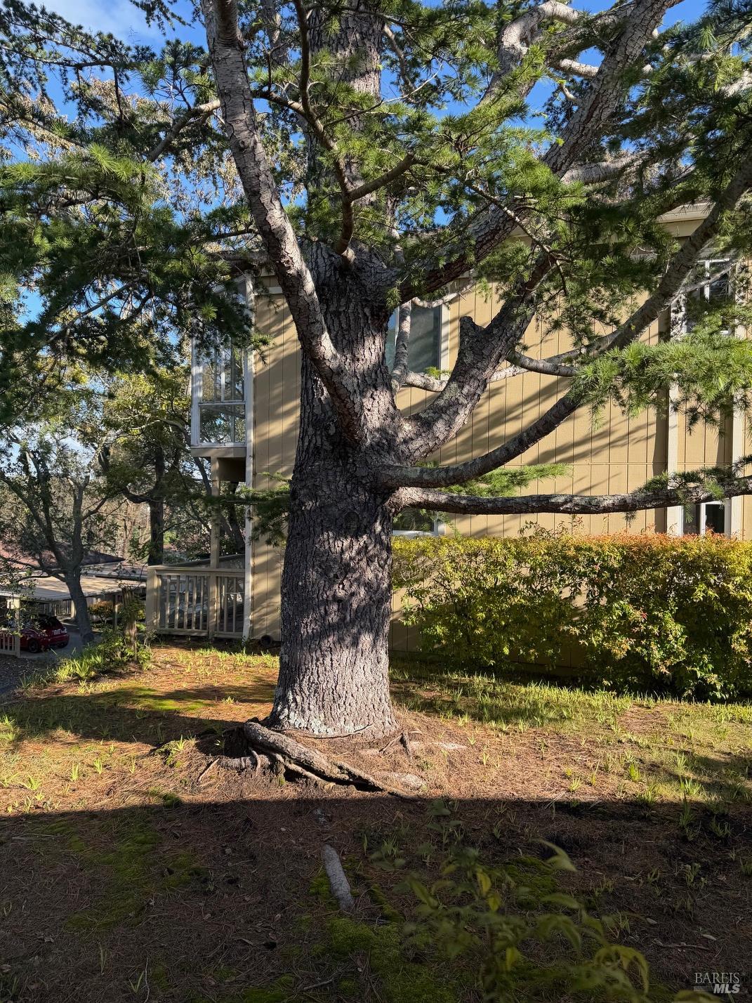 Detail Gallery Image 20 of 36 For 3 Fielding Cir, Mill Valley,  CA 94941 - 2 Beds | 2 Baths