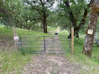 Detail Gallery Image 5 of 9 For 11950 N Eagle Rock Rd, Hopland,  CA 95449 - – Beds | – Baths