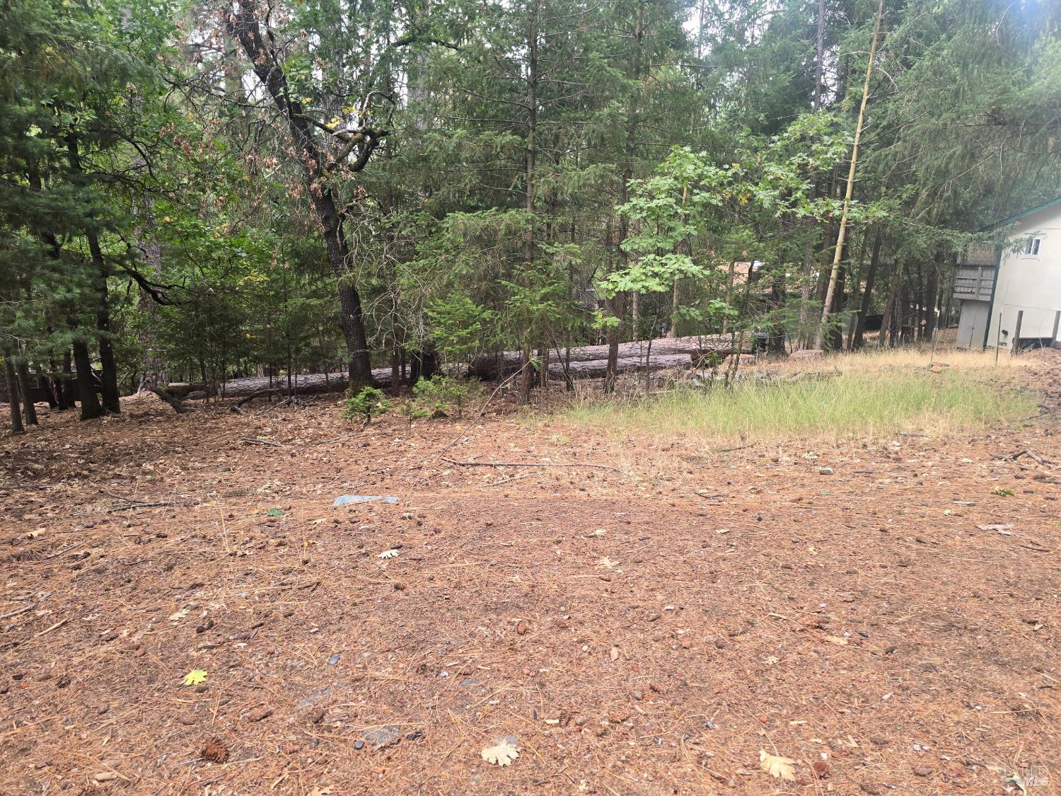 Front Image Thumbnail for BA326012986