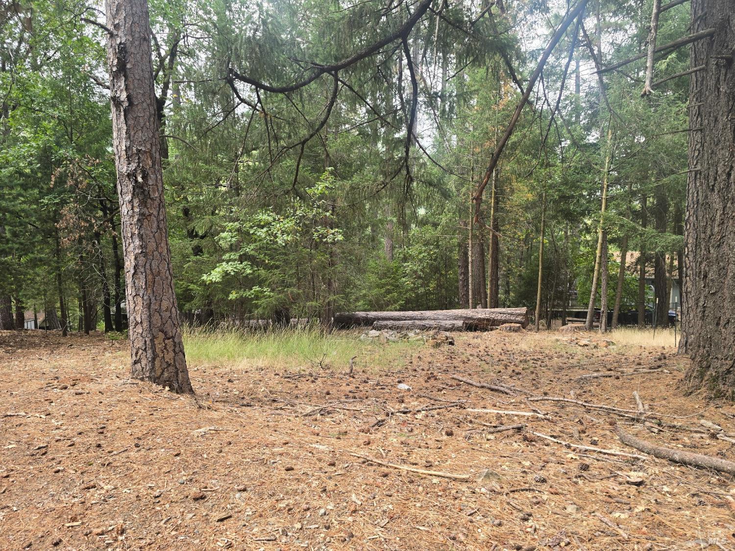 Detail Gallery Image 2 of 6 For 16303 Niblick Rd, Cobb,  CA 95426 - – Beds | – Baths