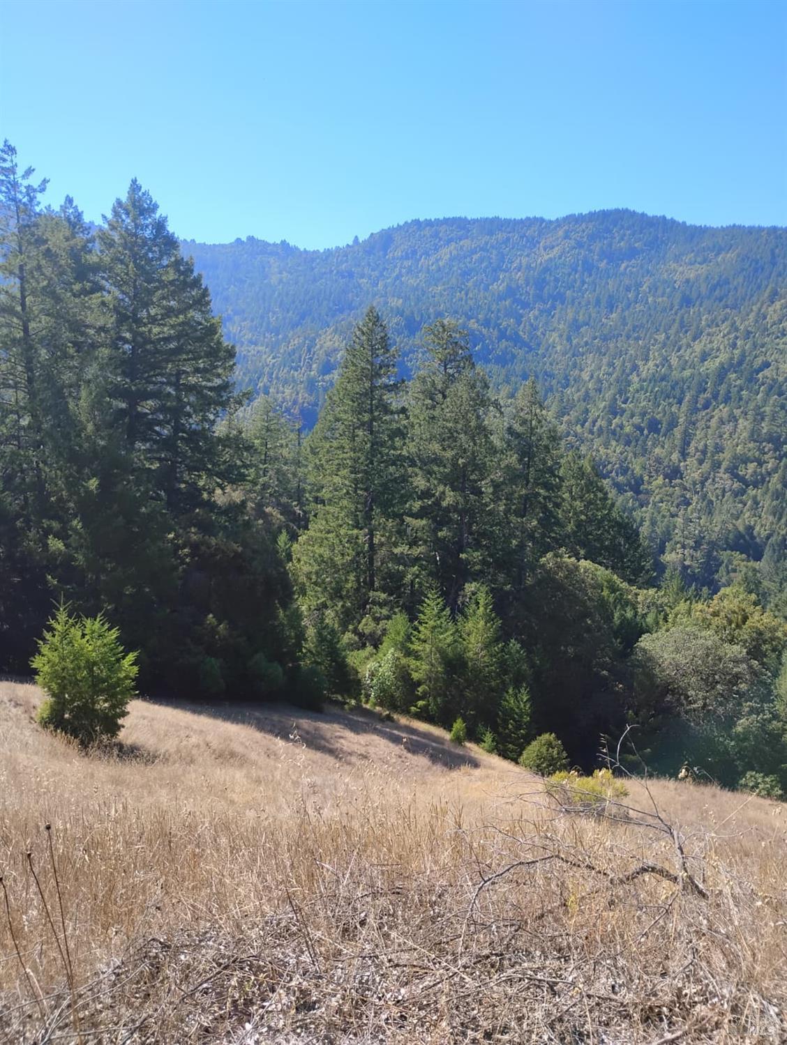 Detail Gallery Image 7 of 12 For 4100 Hansen Ranch Rd, Piercy,  CA 95587 - – Beds | – Baths