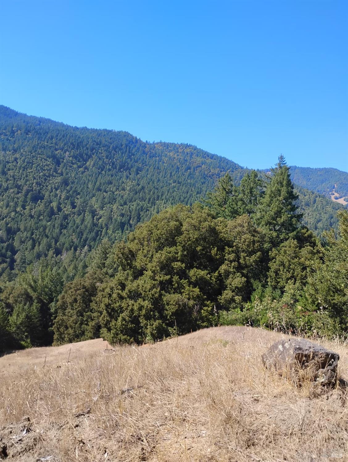 Detail Gallery Image 4 of 12 For 4100 Hansen Ranch Rd, Piercy,  CA 95587 - – Beds | – Baths