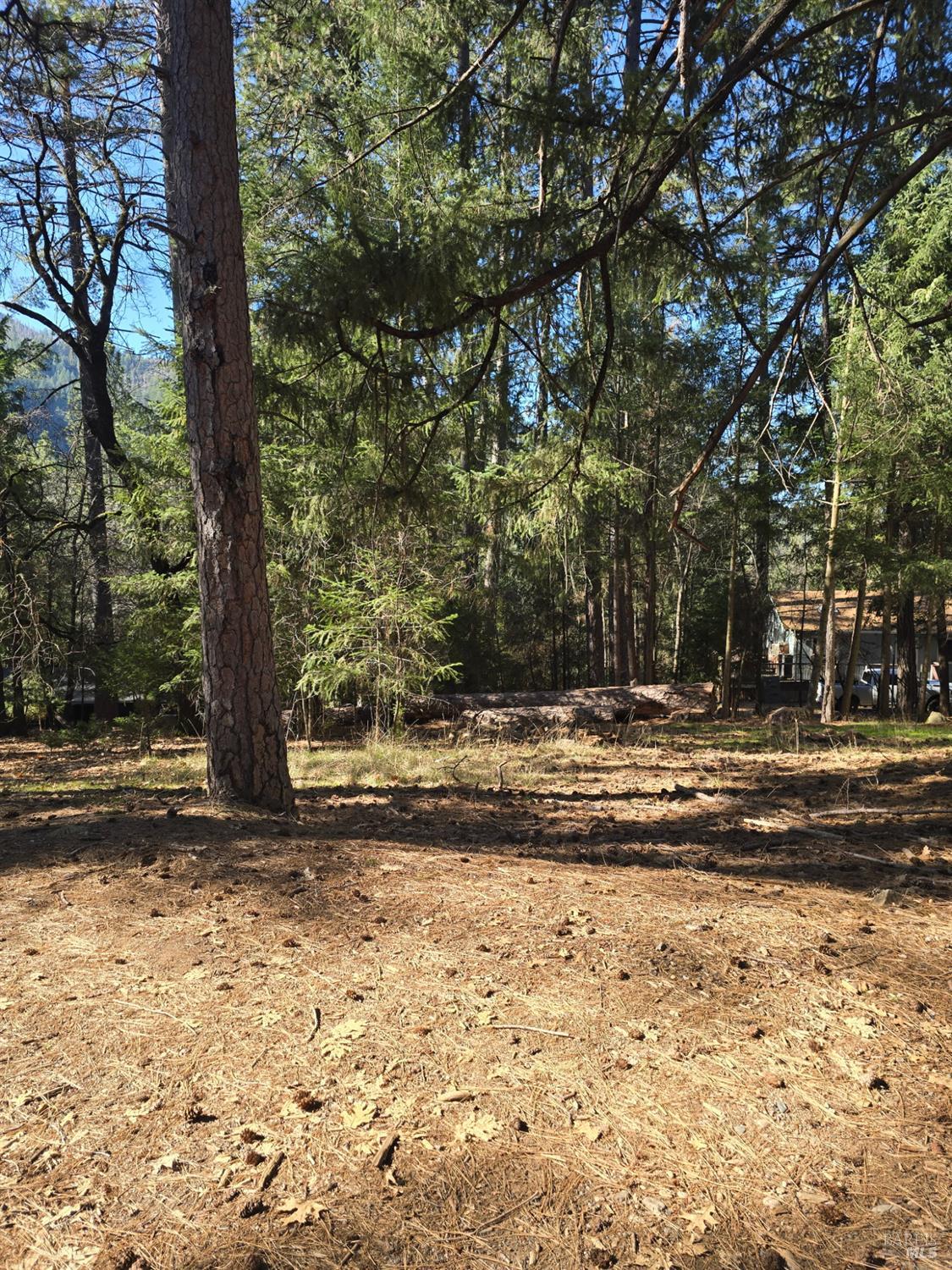 Detail Gallery Image 3 of 6 For 16303 Niblick Rd, Cobb,  CA 95426 - – Beds | – Baths