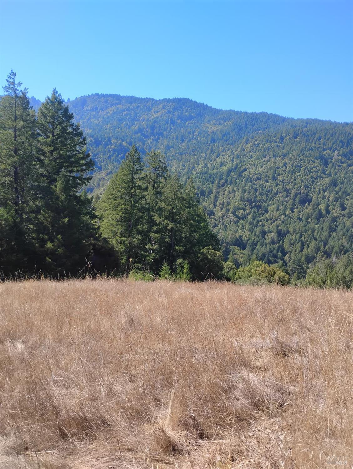 Detail Gallery Image 12 of 12 For 4100 Hansen Ranch Rd, Piercy,  CA 95587 - – Beds | – Baths