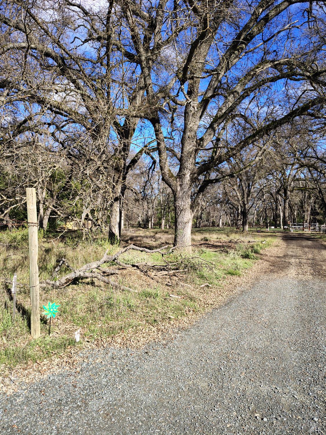 Detail Gallery Image 9 of 13 For 2393 New Long Valley Rd, Clearlake Oaks,  CA 95423 - – Beds | – Baths