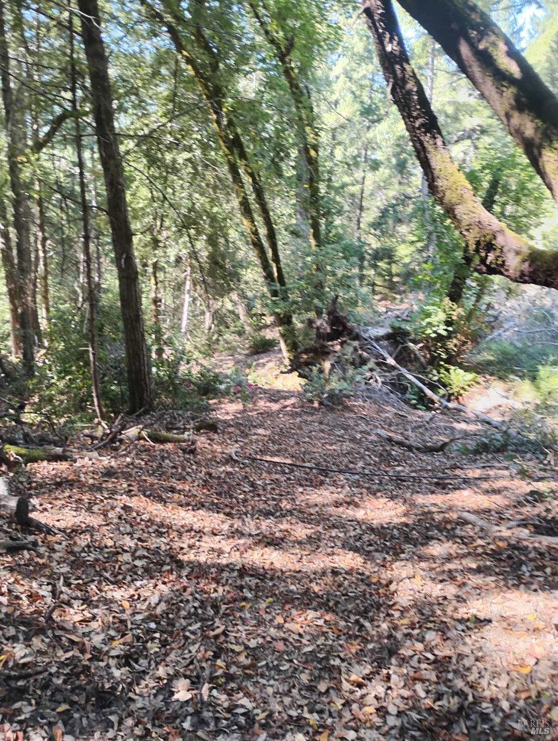 Detail Gallery Image 8 of 12 For 4100 Hansen Ranch Rd, Piercy,  CA 95587 - – Beds | – Baths