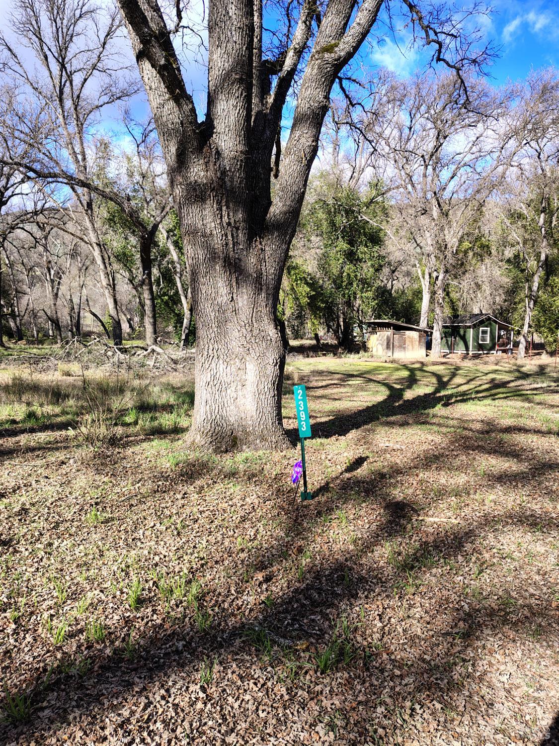 Detail Gallery Image 7 of 13 For 2393 New Long Valley Rd, Clearlake Oaks,  CA 95423 - – Beds | – Baths