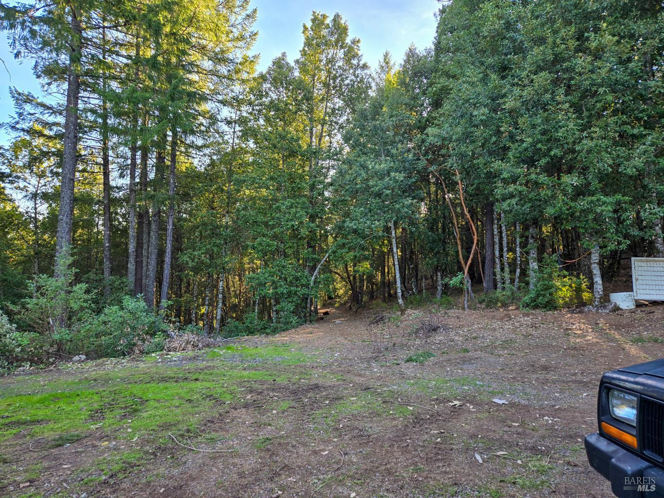 Detail Gallery Image 6 of 23 For 36341 Covelo Rd, Willits,  CA 95490 - – Beds | – Baths