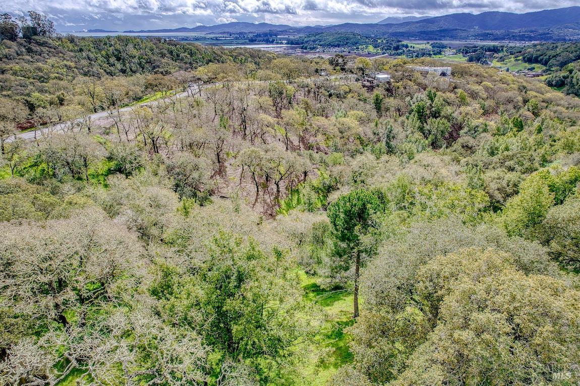 Detail Gallery Image 21 of 71 For 2511 Laguna Vista Dr, Novato,  CA 94945 - 3 Beds | 2/1 Baths