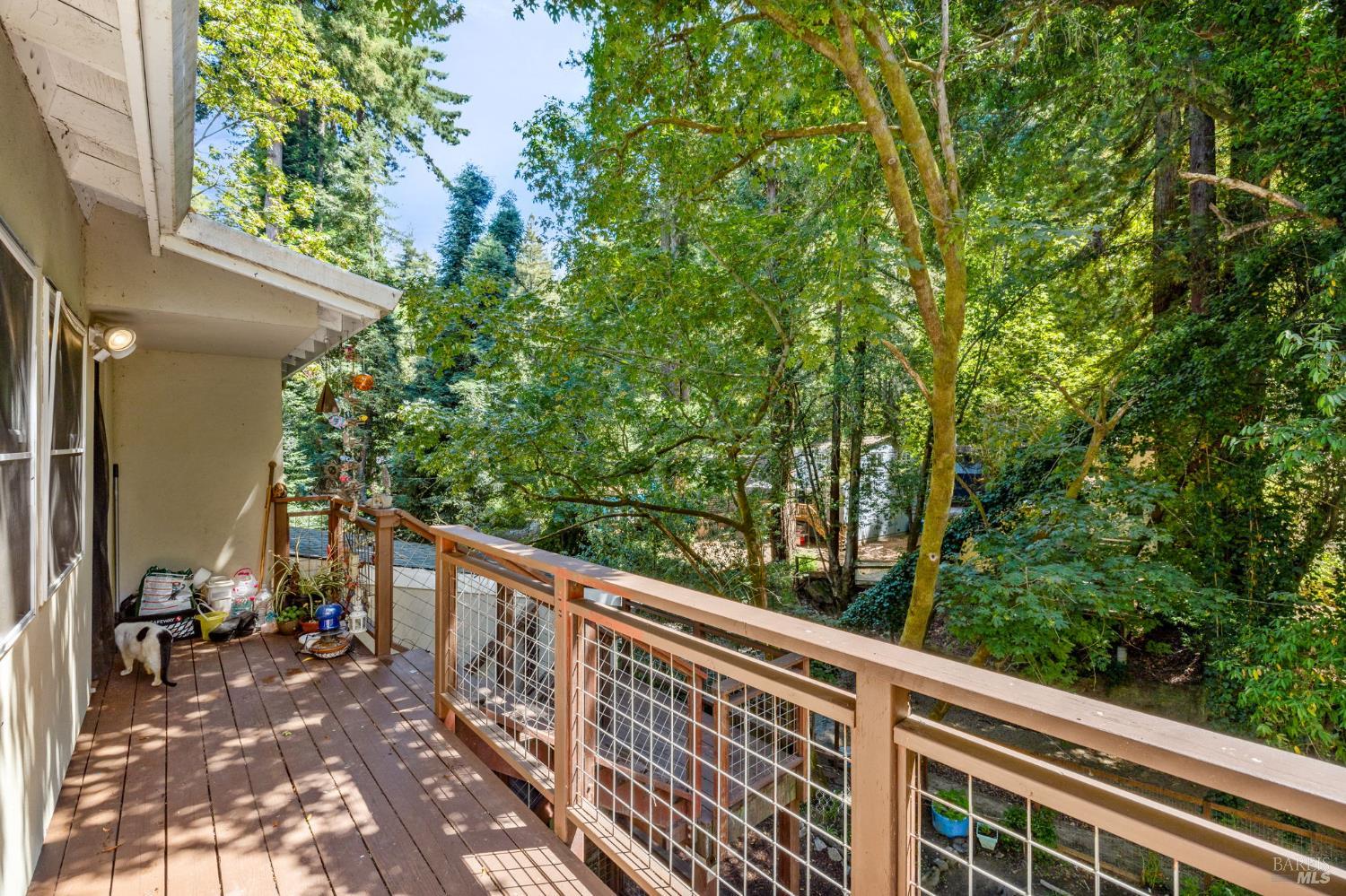 Detail Gallery Image 17 of 19 For 14446 Old Cazadero Rd, Guerneville,  CA 95446 - 6 Beds | 3 Baths