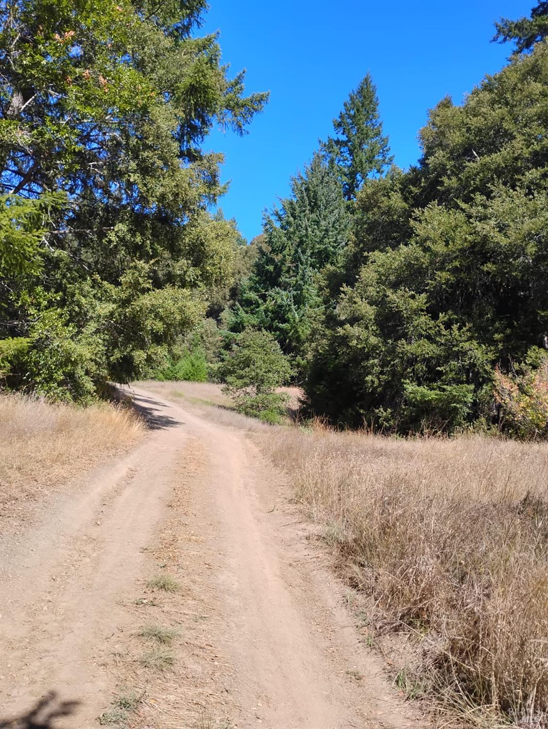 Detail Gallery Image 3 of 12 For 4100 Hansen Ranch Rd, Piercy,  CA 95587 - – Beds | – Baths