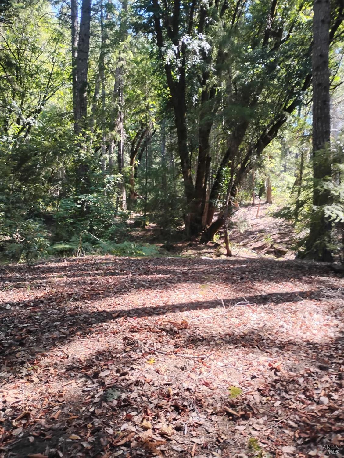 Detail Gallery Image 11 of 12 For 4100 Hansen Ranch Rd, Piercy,  CA 95587 - – Beds | – Baths