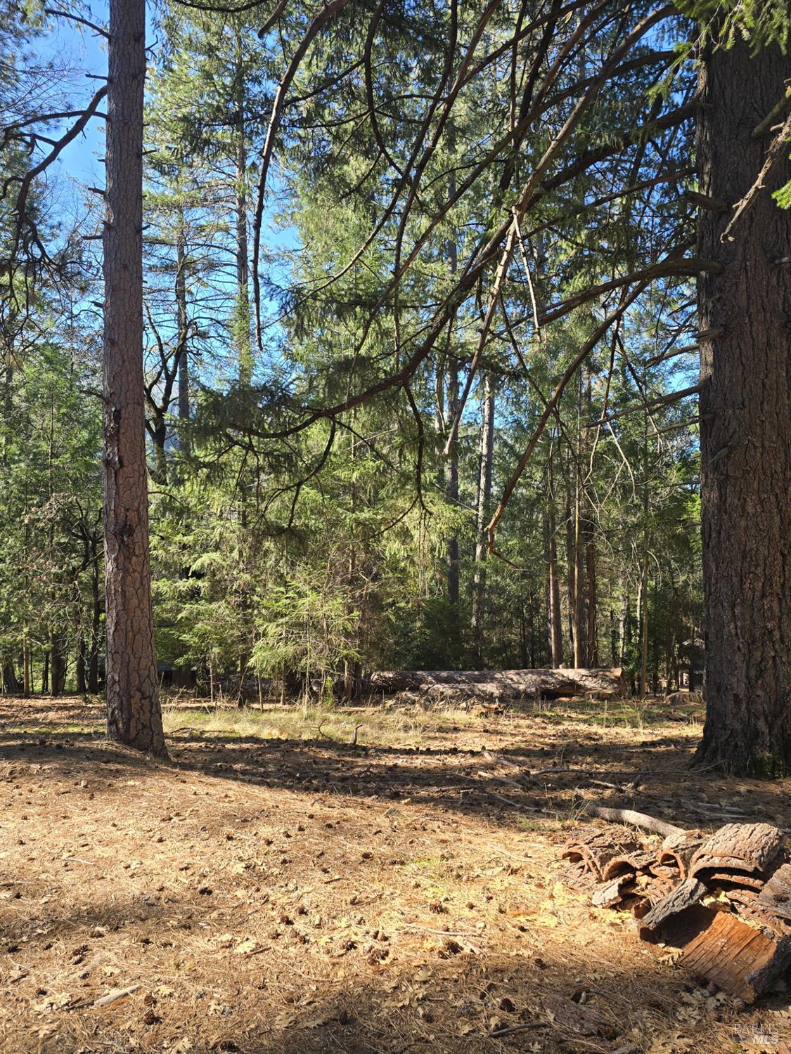 Detail Gallery Image 5 of 6 For 16303 Niblick Rd, Cobb,  CA 95426 - – Beds | – Baths