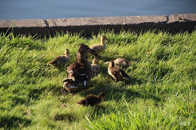 Detail Gallery Image 49 of 51 For 9636 Lakewood Dr, Windsor,  CA 95492 - 2 Beds | 2 Baths