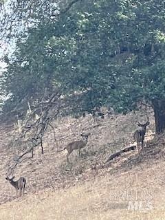 Detail Gallery Image 6 of 9 For 11950 N Eagle Rock Rd, Hopland,  CA 95449 - – Beds | – Baths