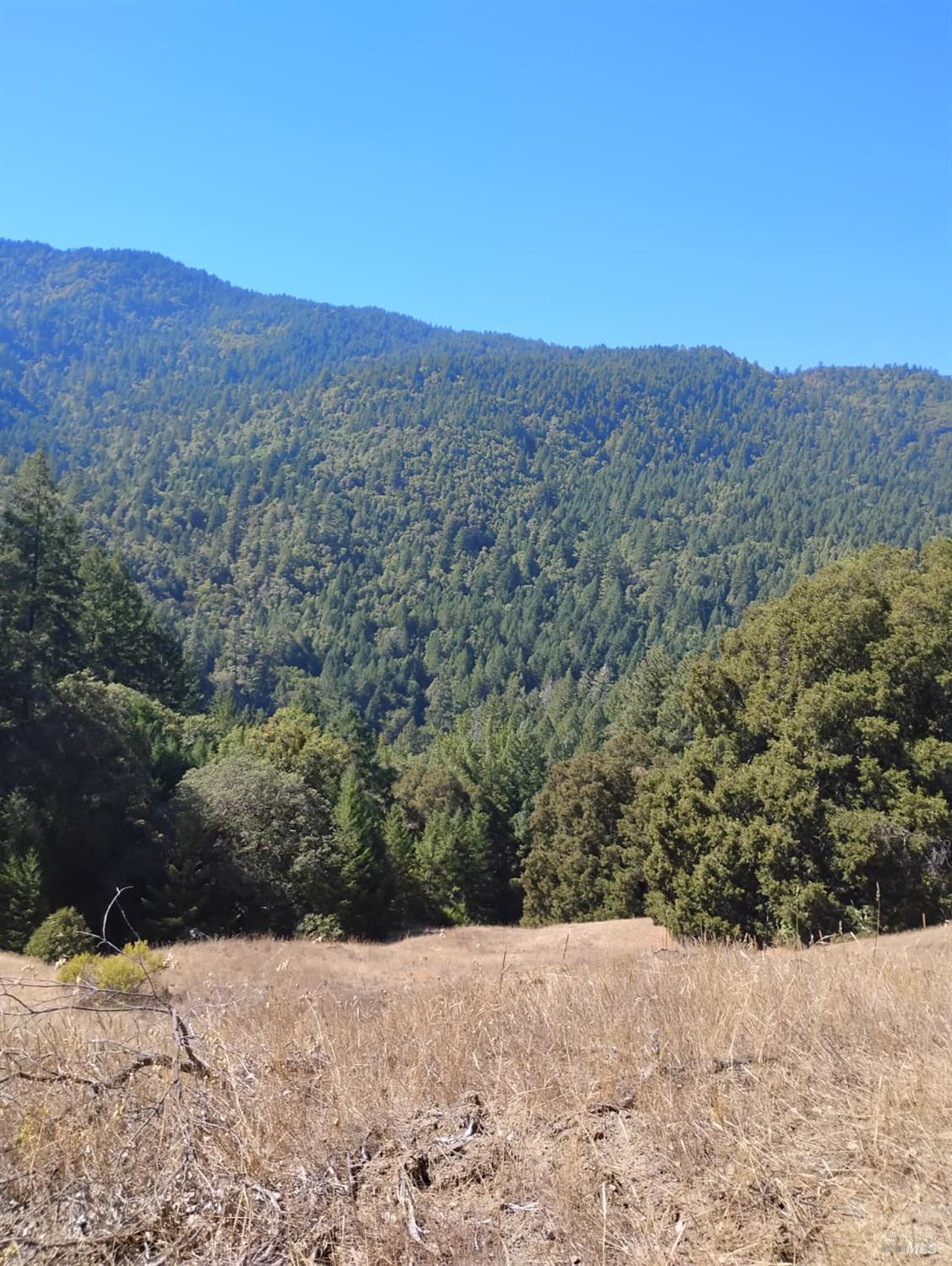 Front Image Thumbnail for BA326013727